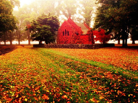Gostwyck Chapel - Tourism Cairns 0