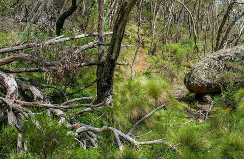Hopetoun Falls Walking Track - Tourism Cairns 0