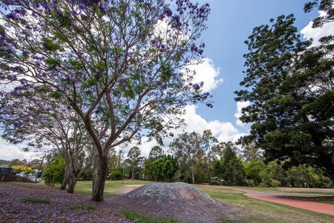 John Scott Park - Tourism Cairns 0