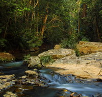 Jumrum Creek Walk Jumrum Creek Conservation Park - Tourism Cairns