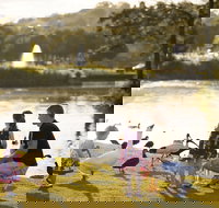 Lake Alford Recreational Park - Tourism Cairns