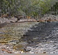 Lake Rowallan - Tourism Cairns