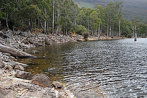 Lake Rowallan - Tourism Cairns 1