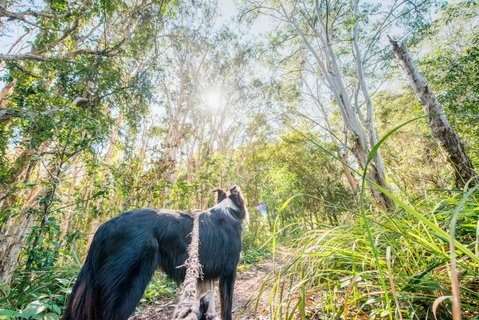 Lamb Island (Nguderoo) - Tourism Cairns 1