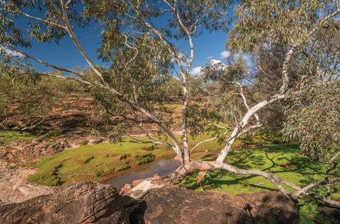 Mount Grenfell Historic Site - Tourism Cairns 0
