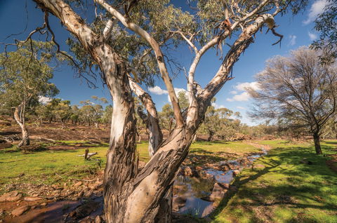 Mount Grenfell Historic Site - Tourism Cairns 2