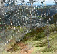 Mount Towac Walk - Tourism Cairns