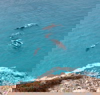 Nullarbor National Park - Tourism Cairns