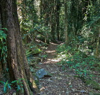 Pholis Gap Walking Track