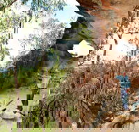 Pilliga Forest - Tourism Cairns