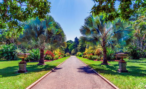 Queens Gardens - Tourism Cairns 1