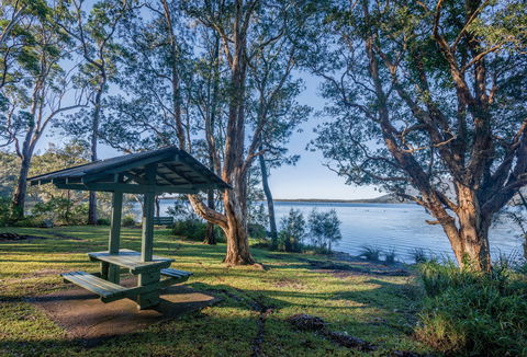 Queens Lake Picnic Area - Tourism Cairns 0