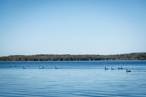 Queens Lake Picnic Area - Tourism Cairns 1