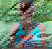 Ricardoes Tomatoes and Strawberries Farm Port Macquarie - Tourism Cairns