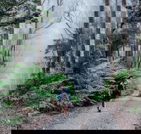 The Corn Trail Walking Track - Tourism Cairns