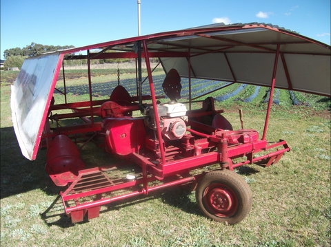 The Super Strawberry - Tourism Cairns 2