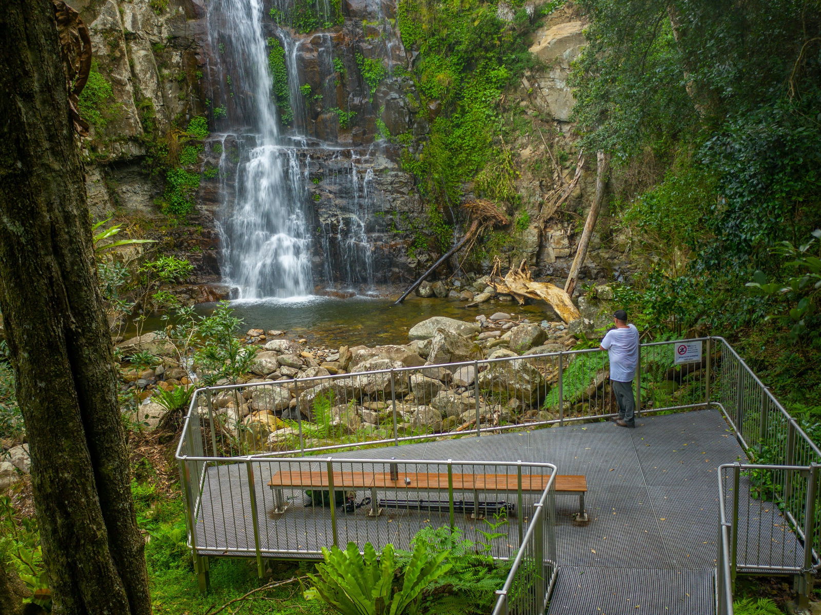 Budderoo NSW Tourism Cairns