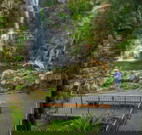 The Falls Walk Budderoo National Park - Tourism Cairns