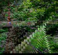 Thunderbird Park  - Tamborine Mountain Gold Coast Region - Tourism Cairns