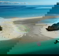 Turtle Discovery - Tourism Cairns
