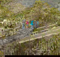Walpole Wilderness Discovery Centre - Tourism Cairns