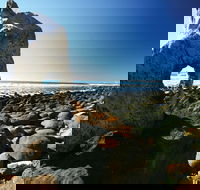 Wallabi Point - Tourism Cairns