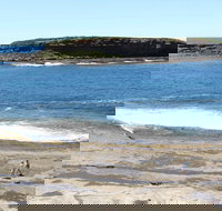 Wasp Head Picnic Area - Tourism Cairns