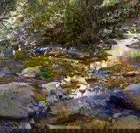 Washpool Walking Track - Tourism Cairns