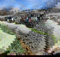 Wynlen House Tour a Unique Urban Regenerative Farm and Market Garden - Tourism Cairns