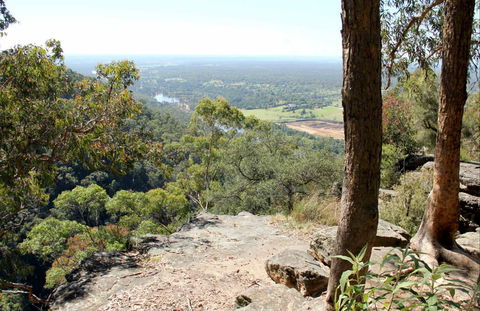 Yellow Rock Lookout - Tourism Cairns 0