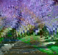 Alowyn Gardens and Nursery - Tourism Cairns
