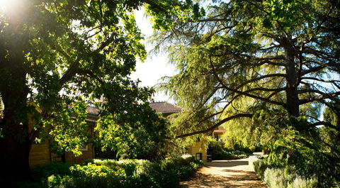 Anlaby - Tourism Cairns 1