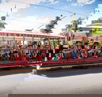 Bendigo Tramways Vintage Talking Tram - Tourism Cairns