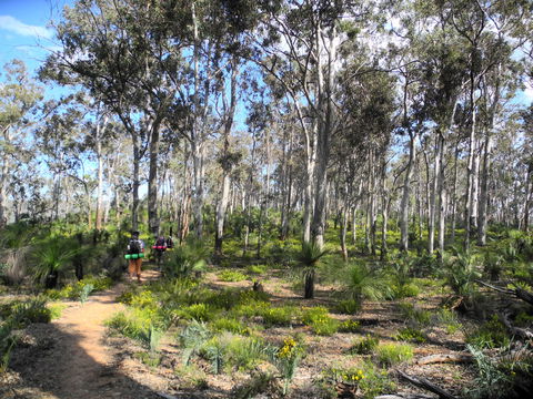 Bibbulmun Track - Tourism Cairns 1