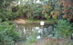 Birdwing Butterfly Walk - thumb 0