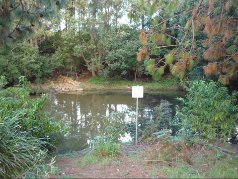 Birdwing Butterfly Walk - Tourism Cairns 0