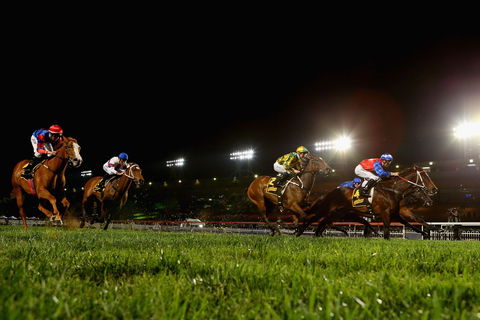 Canterbury Park Racecourse - Tourism Cairns 0