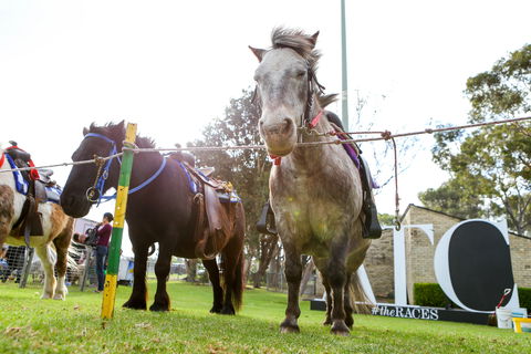 Canterbury Park Racecourse - Tourism Cairns 1