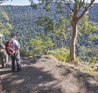 Caves circuit Lamington National Park - Tourism Cairns