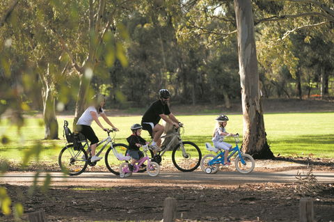 Coast To Vines Rail Trail - Tourism Cairns 1