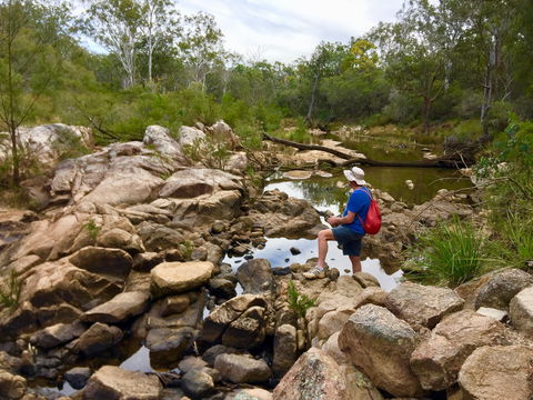 Crows Nest Falls - Tourism Cairns 2