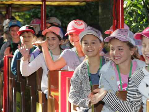 Currumbin Wildlife Sanctuary - Tourism Cairns 1