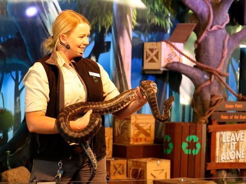 Currumbin Wildlife Sanctuary - Tourism Cairns 2