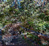 Dawson River Walking Track - Tourism Cairns