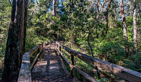 Dawson River Walking Track - Tourism Cairns 0