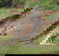 Donnelly River - Tourism Cairns