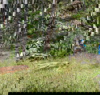 Federal Falls Walk - Tourism Cairns