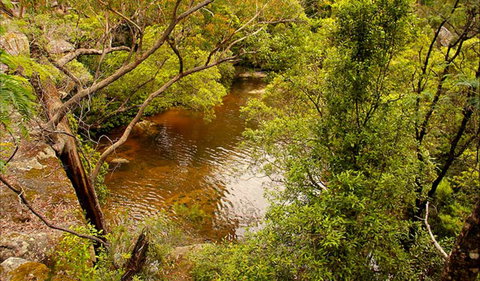Girrakool Loop Track - Tourism Cairns 0