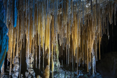 Hastings Caves And Thermal Springs - Tourism Cairns 0