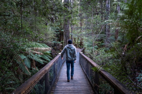 Hastings Caves And Thermal Springs - Tourism Cairns 1